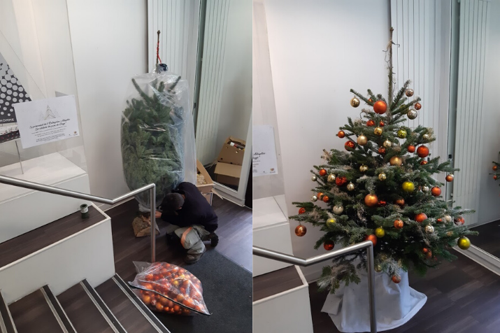 Operation Christmas Tree is on!