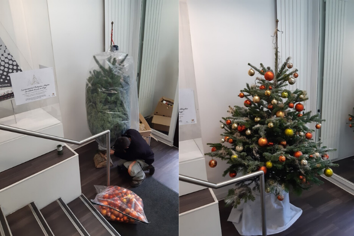 L’opération Sapin de Noël est lancée !