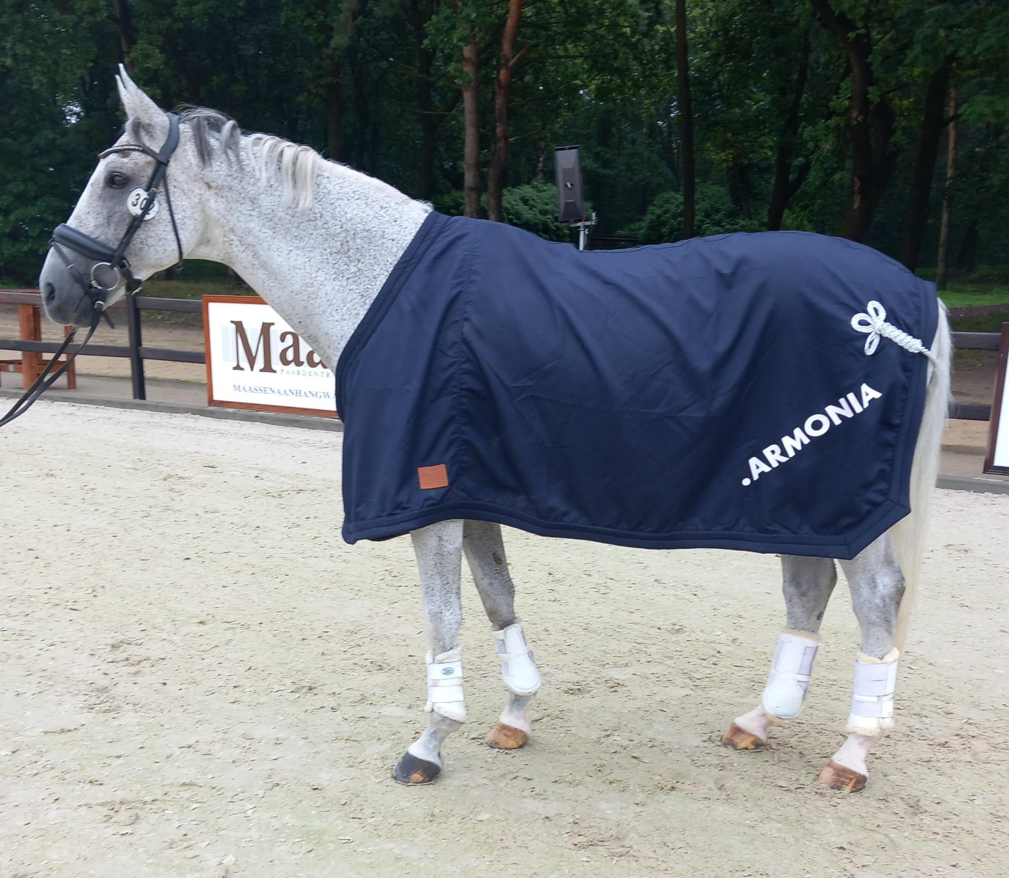 Para-equestrian competition for Adib El Sarakby in the Netherlands